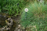 Der Garten meiner Eltern, 2015