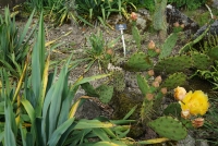 Der Garten meiner Eltern, 2015