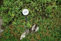 Der Garten meiner Eltern, 2015